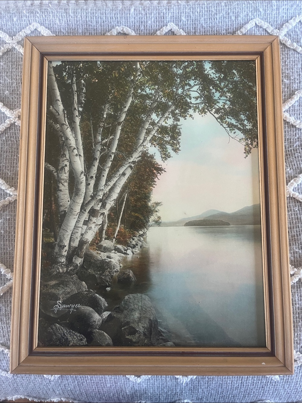 Serene Birch Lake Art Print in Gold Frame “Lake George”